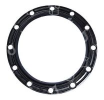 Flange Seal, 230X210X3MM, 12 holes, DZD, for Dražice Boilers